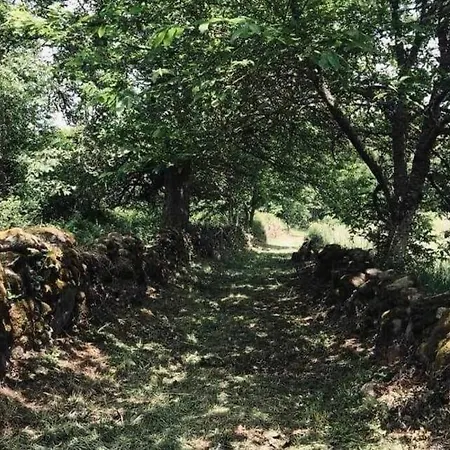 Casa Alba De San *
