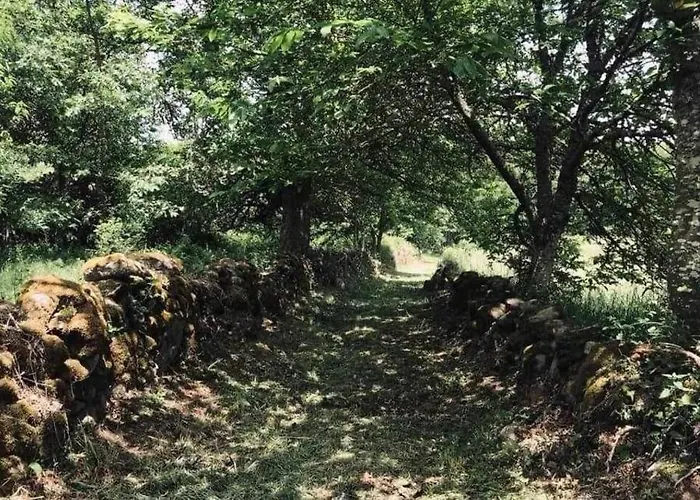 Casa Alba De San *